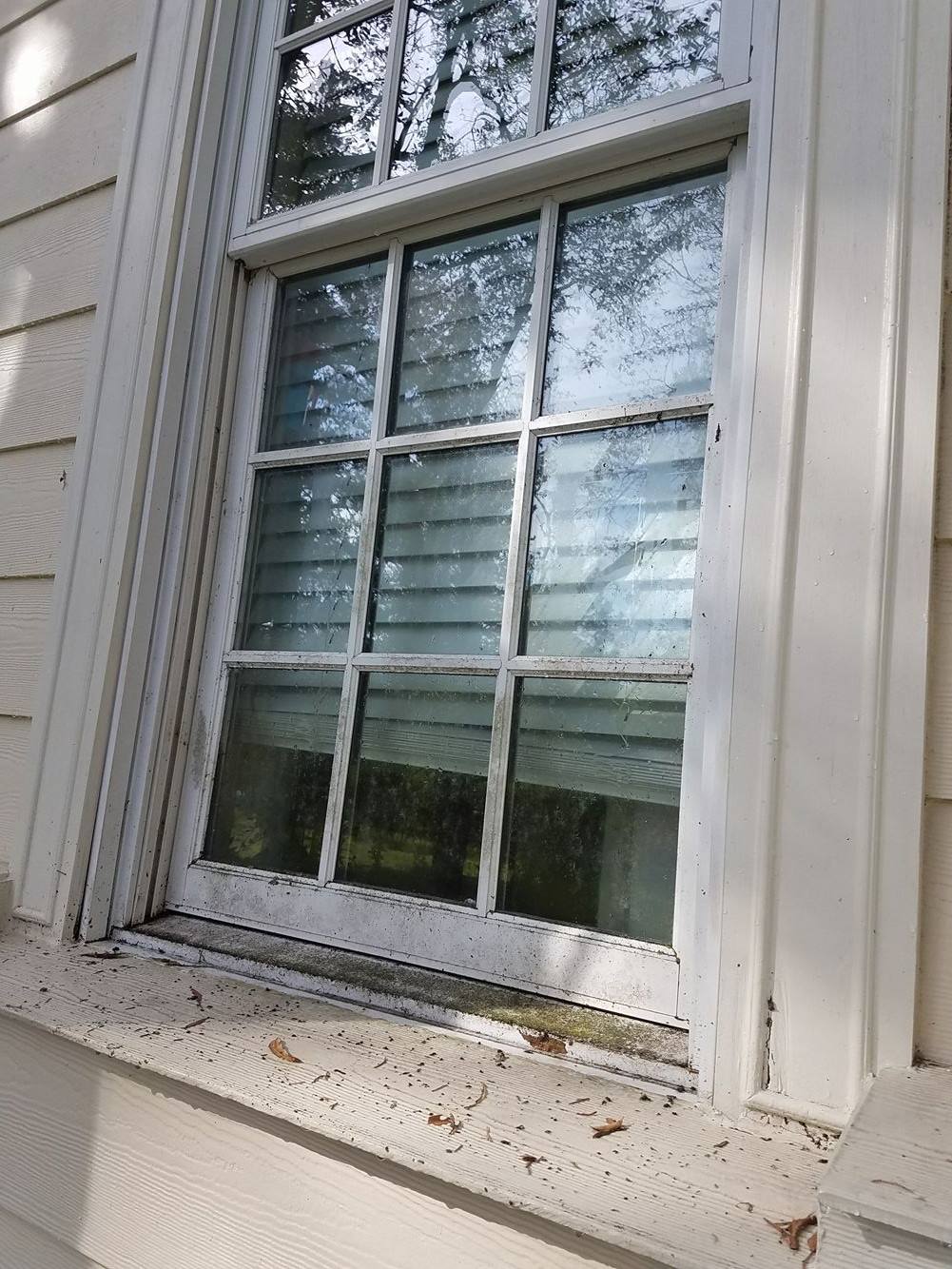 our work bossier commercial glass cleaners
